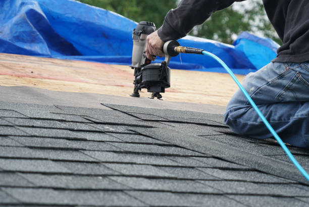 Best Roof Gutter Cleaning  in Cairo, IL