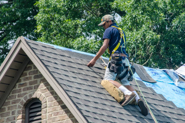 Professional Roofing Contractor in Cairo, IL